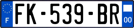 FK-539-BR
