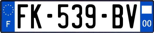 FK-539-BV