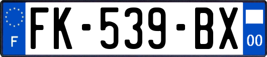 FK-539-BX