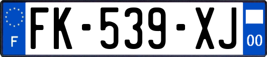 FK-539-XJ