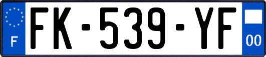 FK-539-YF