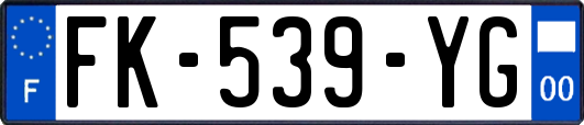 FK-539-YG
