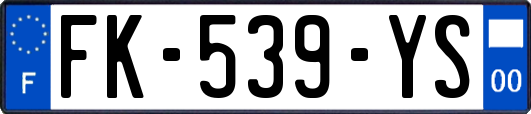 FK-539-YS