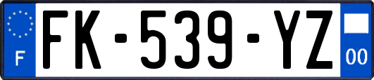 FK-539-YZ