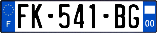 FK-541-BG