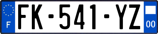 FK-541-YZ