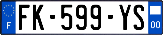 FK-599-YS