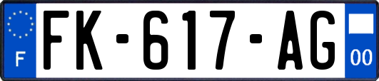 FK-617-AG