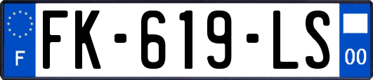 FK-619-LS