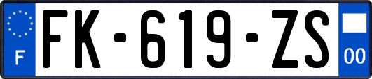 FK-619-ZS