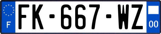 FK-667-WZ