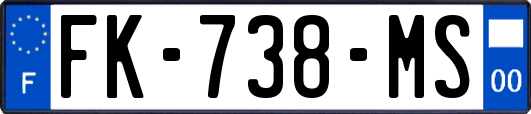 FK-738-MS