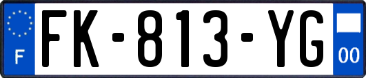 FK-813-YG