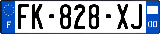 FK-828-XJ