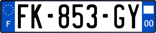 FK-853-GY