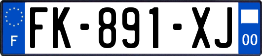 FK-891-XJ