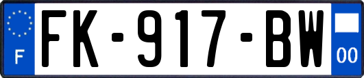 FK-917-BW