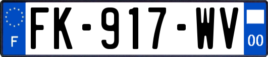 FK-917-WV