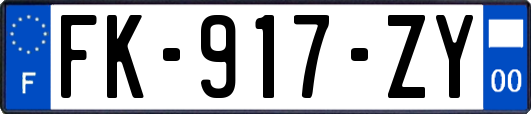 FK-917-ZY