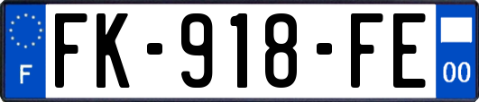 FK-918-FE