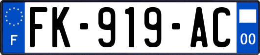 FK-919-AC