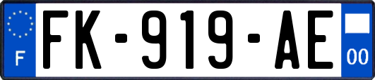 FK-919-AE