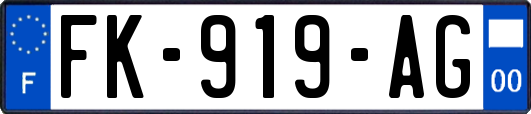 FK-919-AG