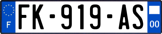 FK-919-AS