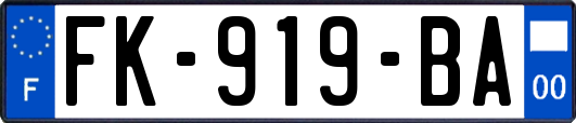 FK-919-BA