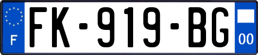 FK-919-BG