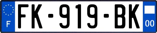 FK-919-BK
