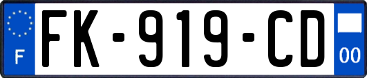 FK-919-CD