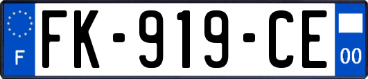 FK-919-CE