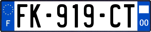 FK-919-CT
