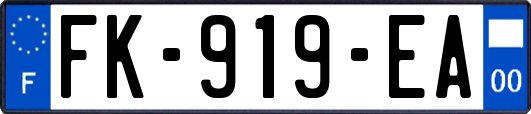 FK-919-EA