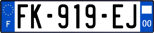 FK-919-EJ