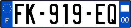 FK-919-EQ