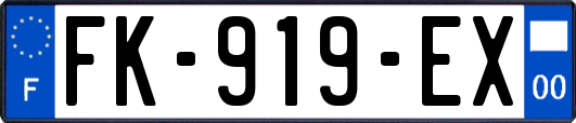 FK-919-EX