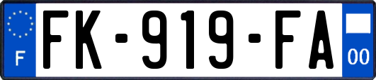 FK-919-FA