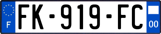 FK-919-FC