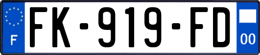 FK-919-FD