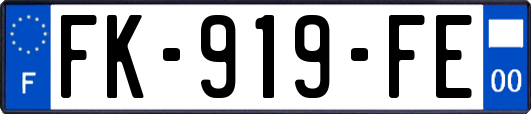 FK-919-FE