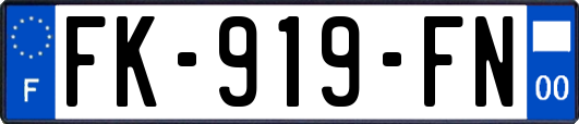 FK-919-FN