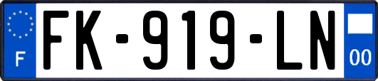 FK-919-LN