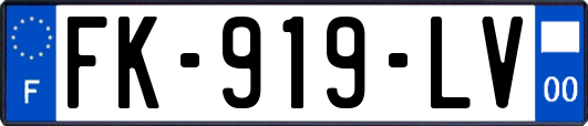 FK-919-LV