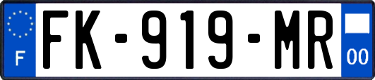 FK-919-MR