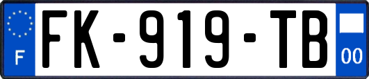 FK-919-TB