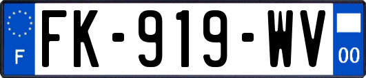 FK-919-WV