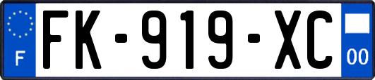 FK-919-XC