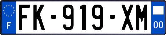 FK-919-XM